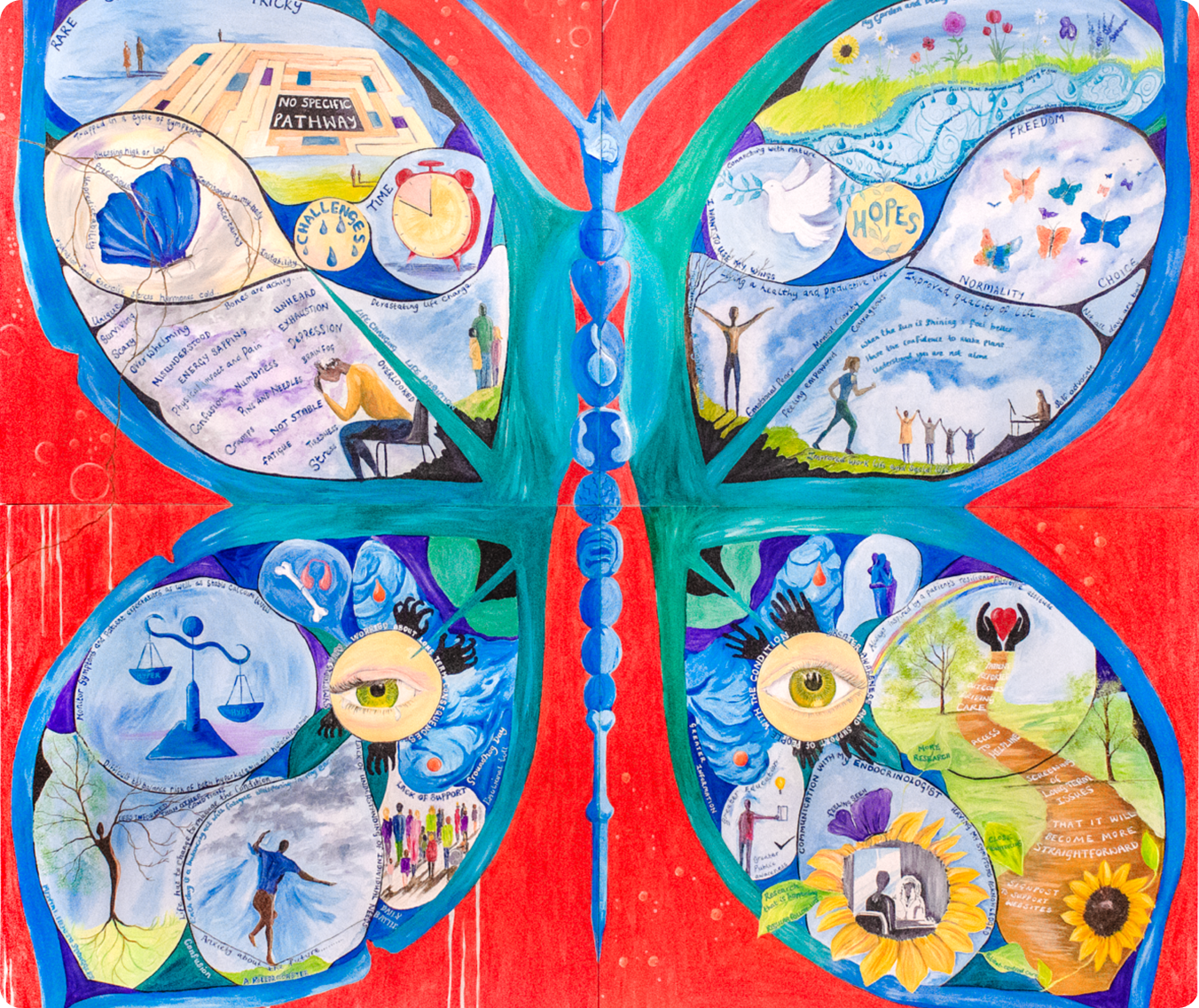 Hypopara butterfly hero img