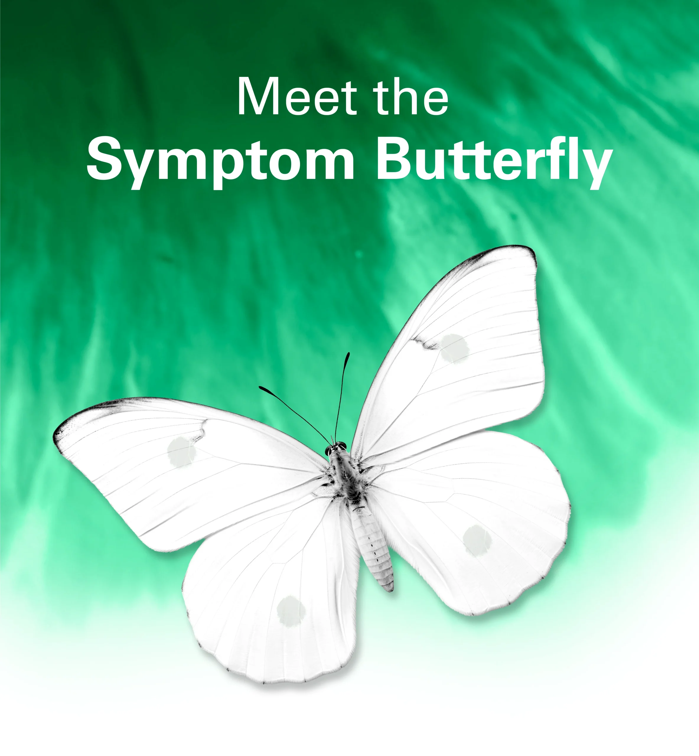 Meet the Symptom Butterfly graphic